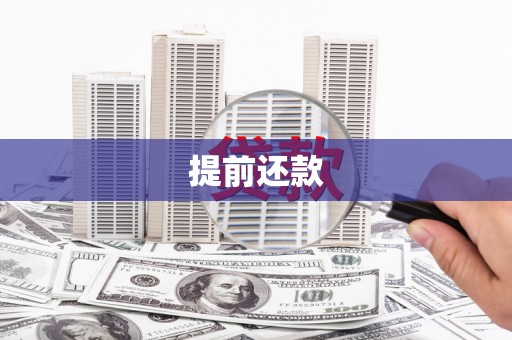 大林提前还款