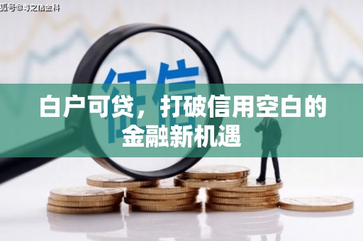 大林白户可贷，打破信用空白的金融新机遇