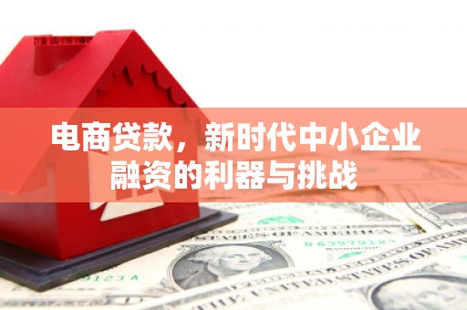 大林电商贷款，新时代中小企业融资的利器与挑战