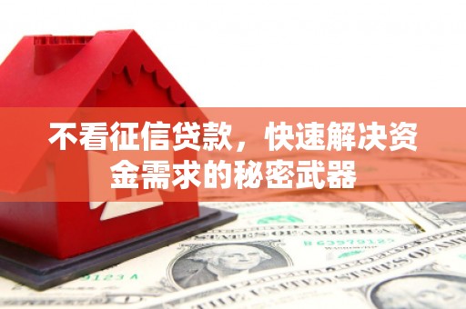 大林不看征信贷款，快速解决资金需求的秘密武器