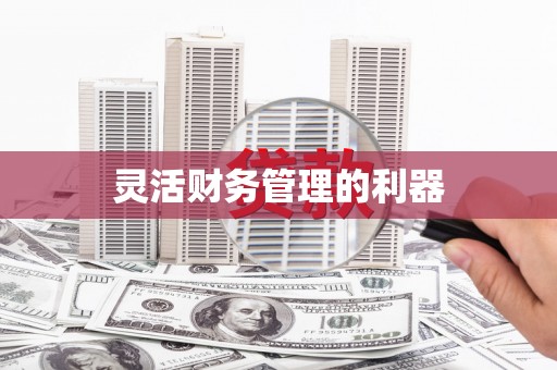 大林灵活财务管理的利器