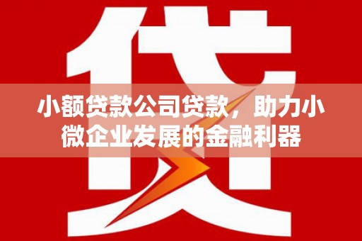 大林小额贷款公司贷款，助力小微企业发展的金融利器