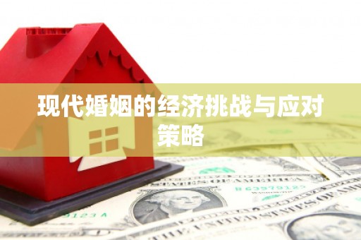 大林现代婚姻的经济挑战与应对策略