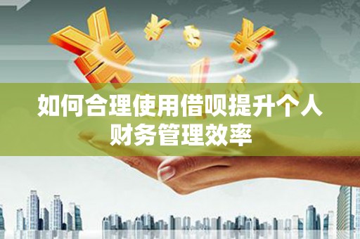 大林如何合理使用借呗提升个人财务管理效率