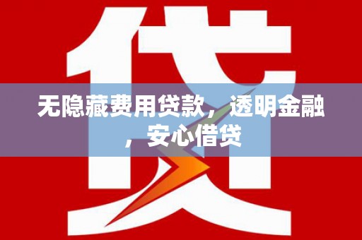 大林无隐藏费用贷款，透明金融，安心借贷