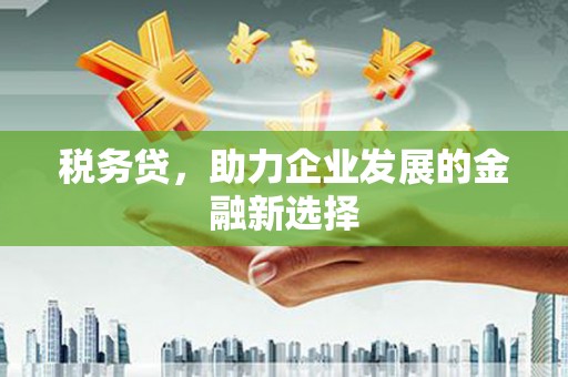 大林税务贷，助力企业发展的金融新选择