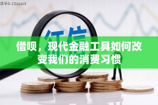 大林借呗，现代金融工具如何改变我们的消费习惯