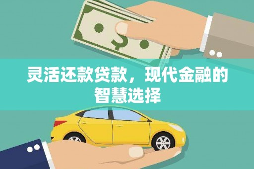 大林灵活还款贷款，现代金融的智慧选择