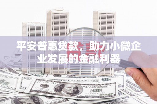 大林平安普惠贷款，助力小微企业发展的金融利器