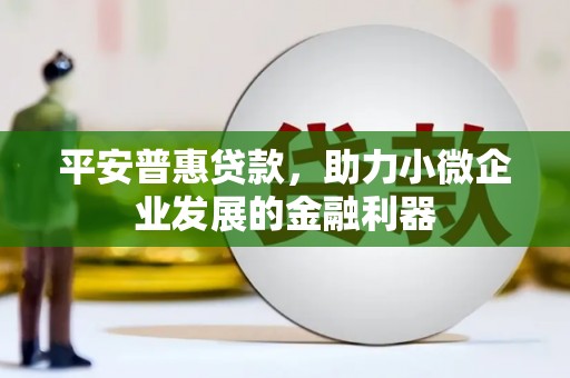 大林平安普惠贷款，助力小微企业发展的金融利器