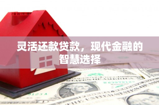 大林灵活还款贷款，现代金融的智慧选择
