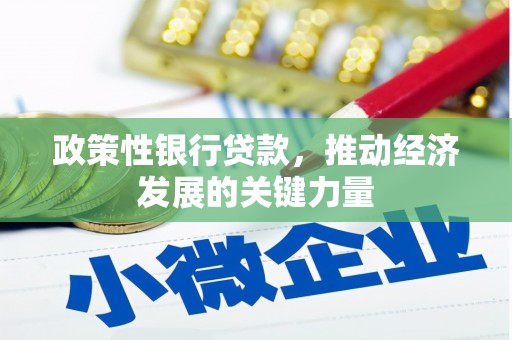 大林政策性银行贷款，推动经济发展的关键力量