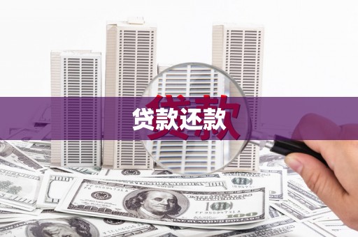 大林贷款还款