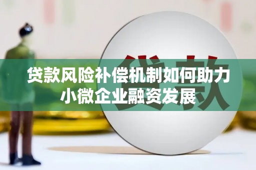 大林贷款风险补偿机制如何助力小微企业融资发展