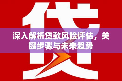大林深入解析贷款风险评估，关键步骤与未来趋势