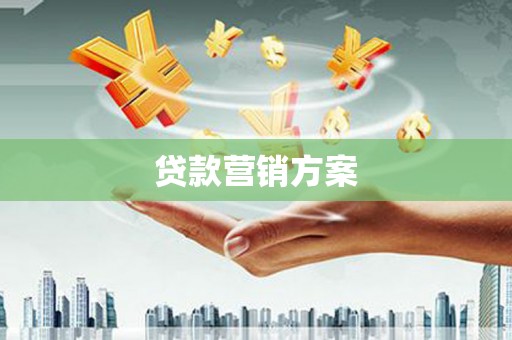 大林贷款营销方案