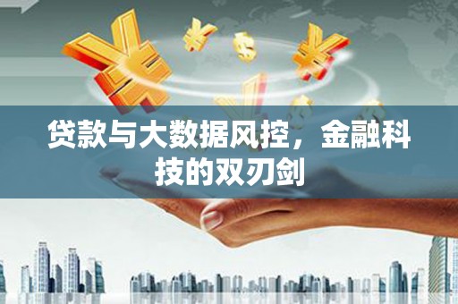 大林贷款与大数据风控，金融科技的双刃剑