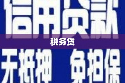 大林税务贷