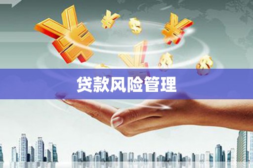 大林贷款风险管理