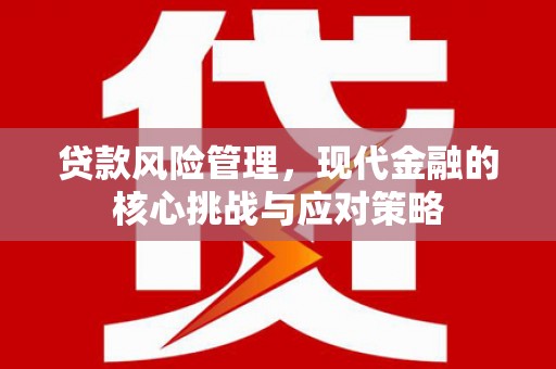 大林贷款风险管理，现代金融的核心挑战与应对策略