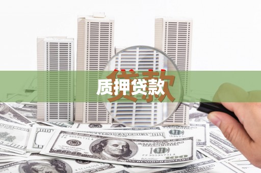 大林质押贷款