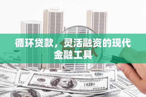 大林循环贷款，灵活融资的现代金融工具