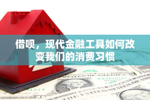 大林借呗，现代金融工具如何改变我们的消费习惯