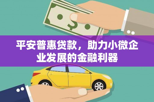 大林平安普惠贷款，助力小微企业发展的金融利器
