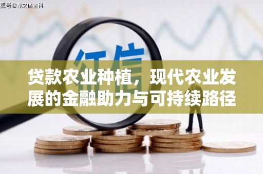 大林贷款农业种植，现代农业发展的金融助力与可持续路径