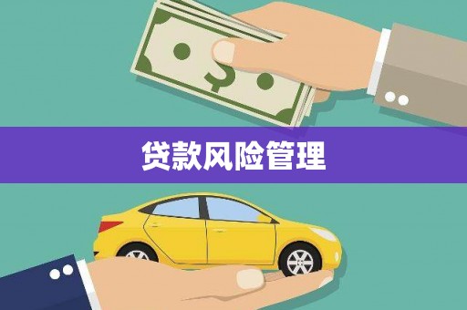 大林贷款风险管理