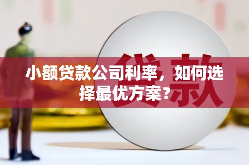 大林小额贷款公司利率，如何选择最优方案？