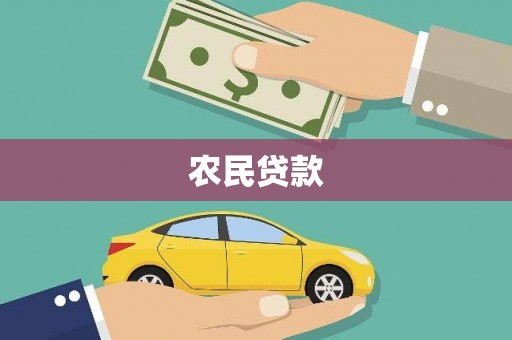 大林农民贷款