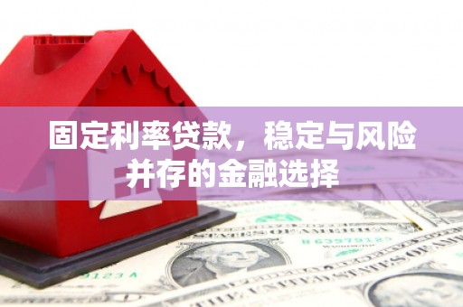 大林固定利率贷款，稳定与风险并存的金融选择