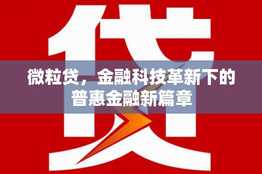 大林微粒贷，金融科技革新下的普惠金融新篇章