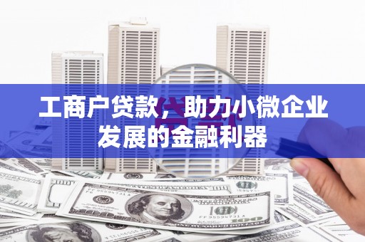 大林工商户贷款，助力小微企业发展的金融利器