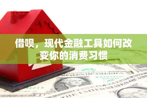 大林借呗，现代金融工具如何改变你的消费习惯