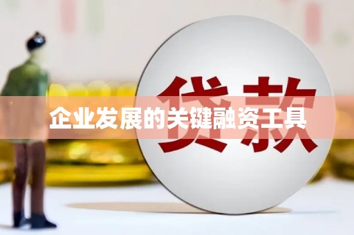 大林企业发展的关键融资工具