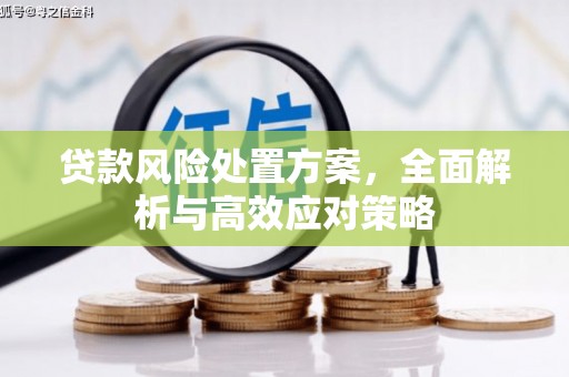 大林贷款风险处置方案，全面解析与高效应对策略