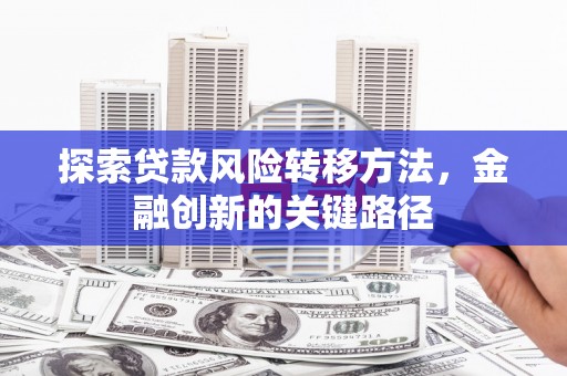 大林探索贷款风险转移方法，金融创新的关键路径