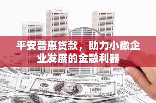 大林平安普惠贷款，助力小微企业发展的金融利器