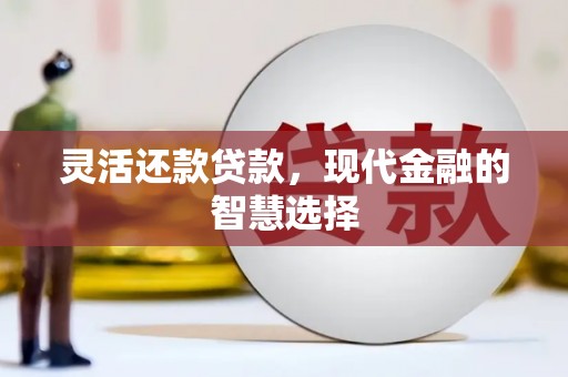 大林灵活还款贷款，现代金融的智慧选择