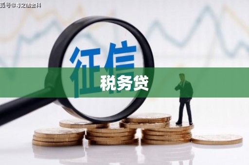 大林税务贷