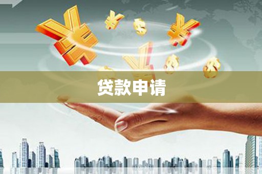 大林贷款申请