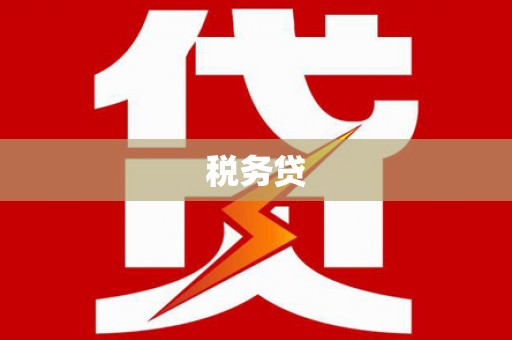 大林税务贷