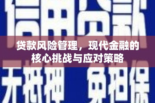 大林贷款风险管理，现代金融的核心挑战与应对策略