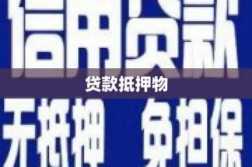 大林贷款抵押物