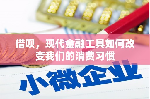 大林借呗，现代金融工具如何改变我们的消费习惯