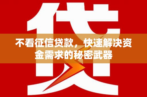 大林不看征信贷款，快速解决资金需求的秘密武器