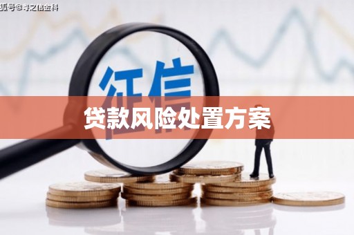 大林贷款风险处置方案