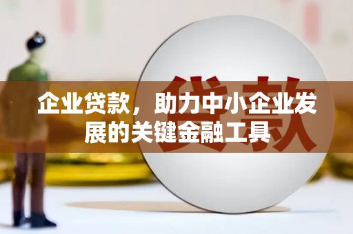 大林企业贷款，助力中小企业发展的关键金融工具